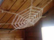 this shed is a new build so heres the 1st web lol of shed - A pagans magical fantasy land, 