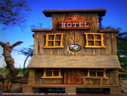 Western Hotel Birdhouse of shed - the Den, 