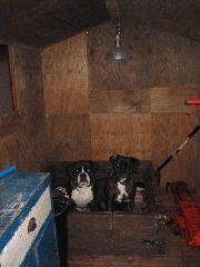 Inside of shed - The Girls Shed, 