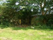 Julia's Shed: Space where we want ideas for bedshed or yurt type place
