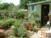 The Shed: door open needs a tidy up!
