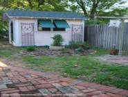Ze Pink Shed: exterior garden shot