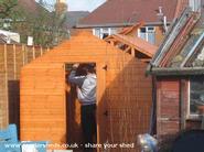 On goes the roof. of shed - Henry's shed, 