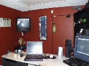 The Office Shed: View from office chair.