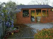 Wysteria shed? of shed - The Dagg & Duck, 