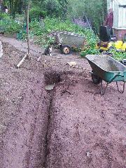 Head Weeders Office: Mucking about in the earth...