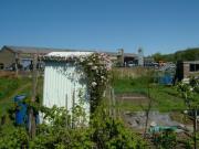  of shed - Allotment Shed, 