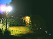 Dog House: Summer Night