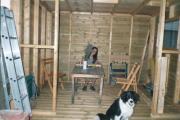 shed: bethan, amy, work in progress