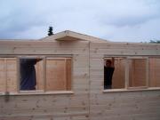 Shanes shed: my damn back