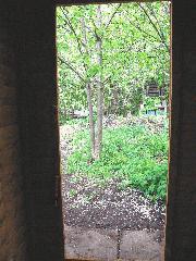 looking out of the door of shed - Hoe Shed, 
