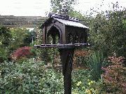 Gothic bird table of shed - Alien sanctuary., Cheshire West and Chester