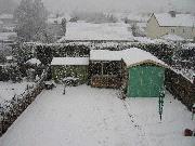 Bloody snow. of shed - Bungle, 