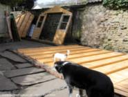 there's some sort of dog supervising going on of shed - the home of ted & agnes..., North Yorkshire