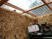inside with glazing of shed - the straw bale shed, 