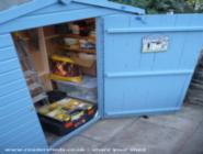 Tool storage area of shed - Mini Jeff, Cardiff