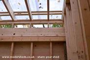 detail of ceiling inside with clear roofing of shed - Q's Avian Chateau, 