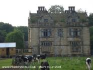 Shed in context (with Sockburn Hall) of shed - , 