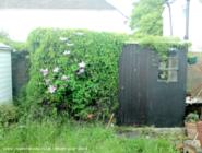 Front of my Shed of shed - My Wonderful Garden Shed, West Sussex