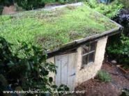 sedum roof of shed - trombone shed, 