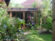 frount of shed - The White Witch, Greater London