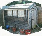  of shed - Not Straight, Sussex