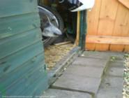 Our late dog used to retreat to the shed - when there was space of shed - Wood-Be-More Shed, Greater London