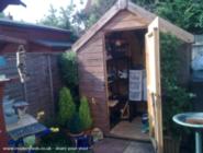 front view of shed - Tina's W, Essex