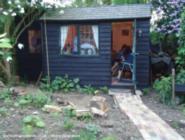 Photo 20 of shed - pixie's retreat, Greater London