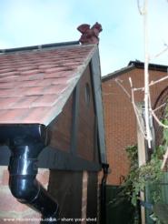 Rob's Gothic Brewery, Berkshire