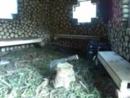norway spruce shoots floor of shed - Lad's drinkin den, Derbyshire