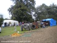 the duck and dumper, 