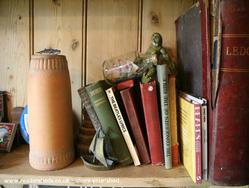Books in the shed of shed - songs from the shed, North Somerset