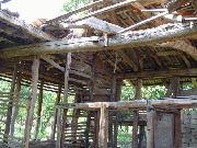 Inside to roof of shed - The Donkey House, 