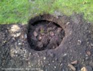 Mysterious hole found under old shed of shed - The Wahey Loft, 