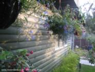 painted of shed - , 