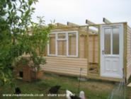 Roof Joists of shed - , 