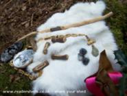 CAER ARIANDRUIEN: Druid ingredients used in my shed