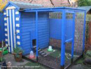 A very British Coop: Outside