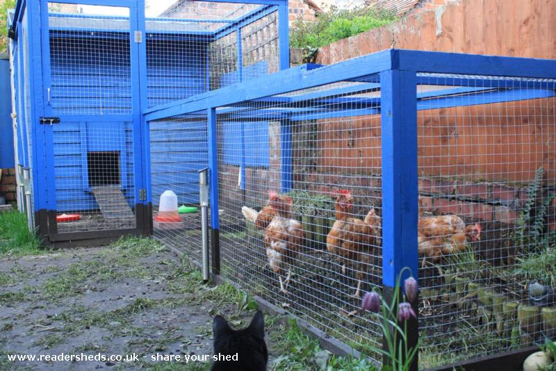 A very British Coop, Unexpected/Unique, Wirral AllotmentMate 
