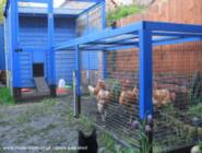 A very British Coop: Chicken Run Extension