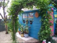 public view of shed - My Sanctuary, Hertfordshire