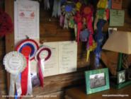 Memorabilia of shed - 'The Studio', Worcestershire