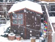 Winter shed of shed - The Party Shed, 
