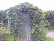 front of shed in springtime of shed - Dom's shed, 