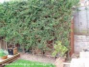 The Stealth Shed, Newport
