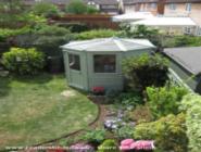 Photo 3 of shed - Steve's Summerhouse Shed, 