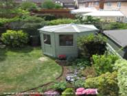 Steve's Summerhouse Shed, 