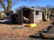 Dilapidated shed before of shed - plot shed, 