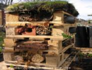 The bug hotel of shed - plot shed, 